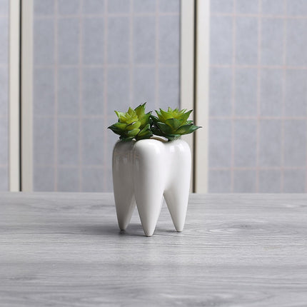 Tooth Shaped Ceramic Flower Pot - wnkrs