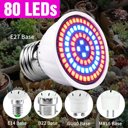 80 LEDs Hydroponic Lamp - wnkrs
