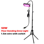 50w-with-stand