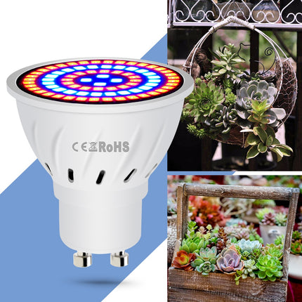 220V LED Plant Grow Light Bulb for Indoor - wnkrs