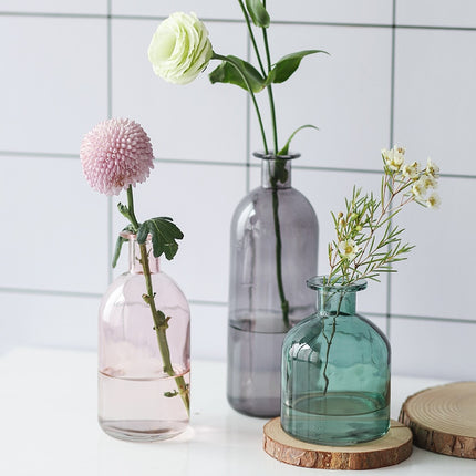 Transparent Glass Decorative Vase - wnkrs