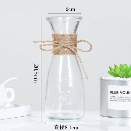 Creative Nordic Glass Bottle Vase - wnkrs