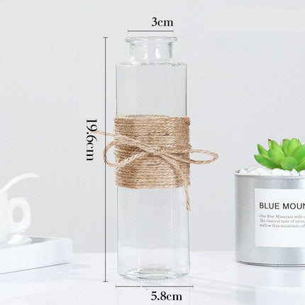 Creative Nordic Glass Bottle Vase - wnkrs