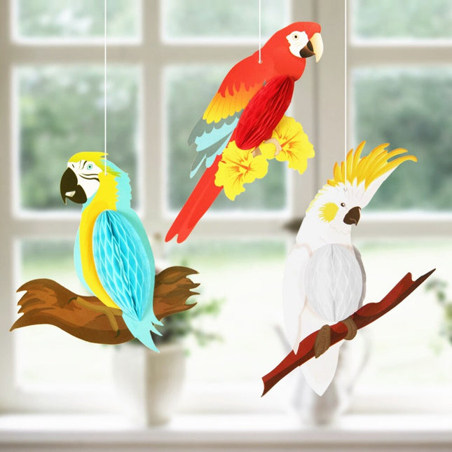 Hanging Rainbow Tropical Parrots - Wnkrs