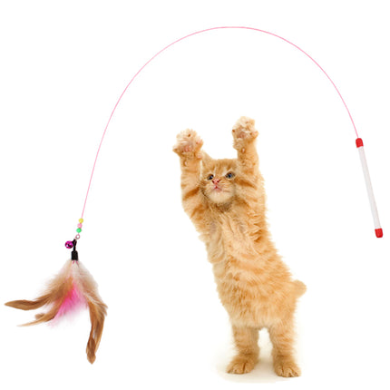 Cat's Interactive Toy Feather - wnkrs