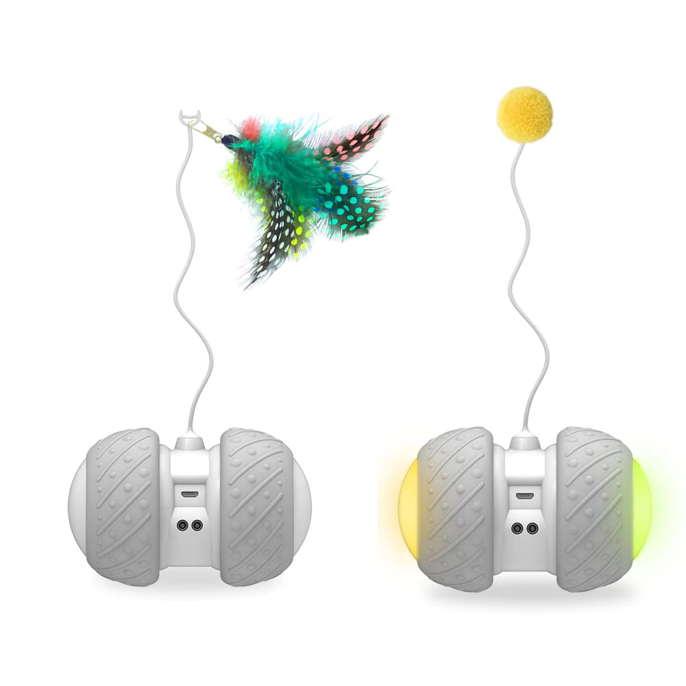 Feather Decorated Interactive Cat Toy