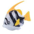 angelfish-grey