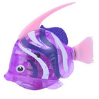angelfish-purple