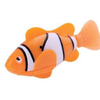 clownfish-orange