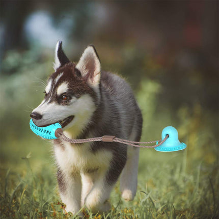 Biting Toy for Dogs - wnkrs