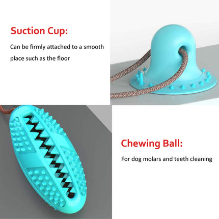 Biting Toy for Dogs - wnkrs