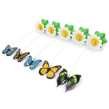 Colorful Electric  Butterfly and Bird - wnkrs