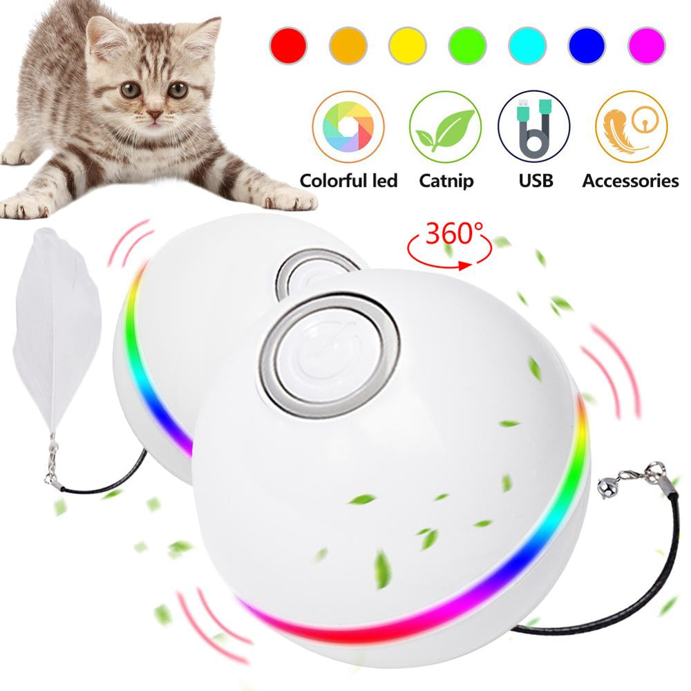 Smart Electric Pet Toys