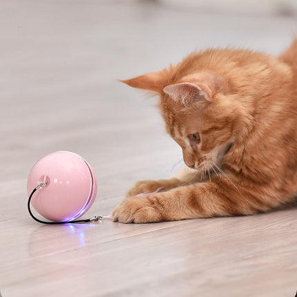 Smart Electric Pet Toys - wnkrs