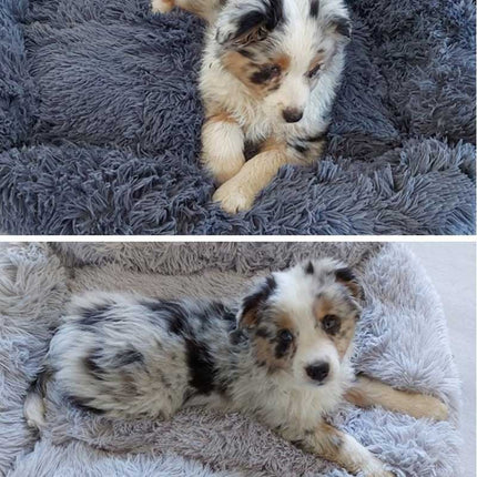 Dogs Long Plush Solid Bed - wnkrs