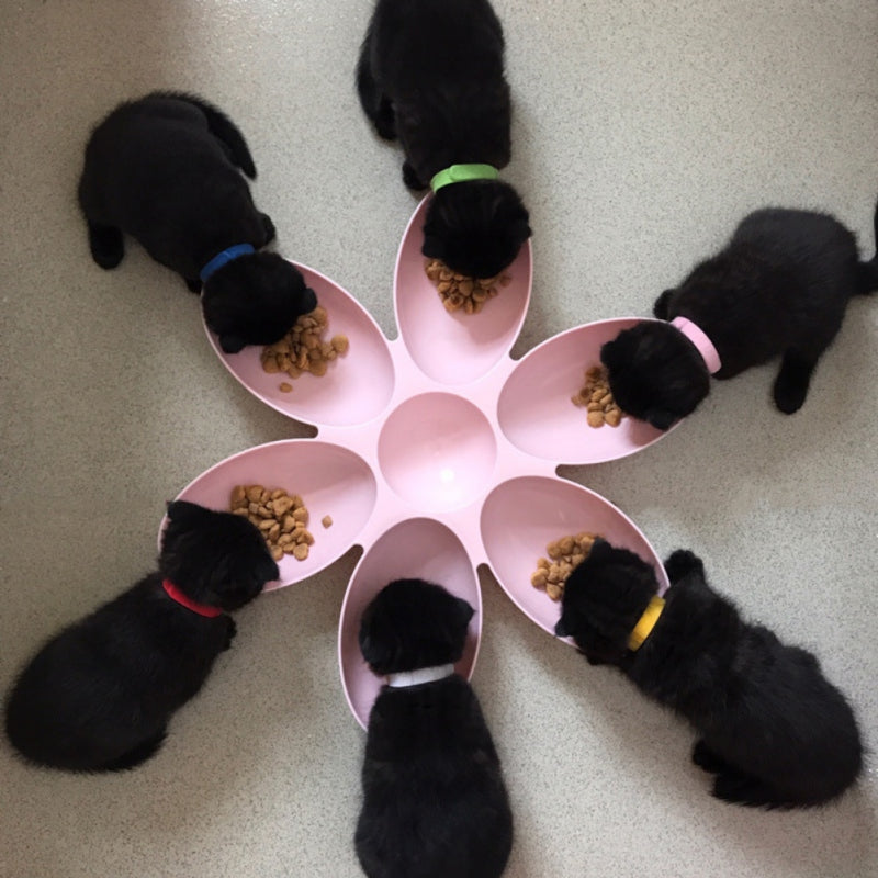 6 in 1 Feeding Bowl