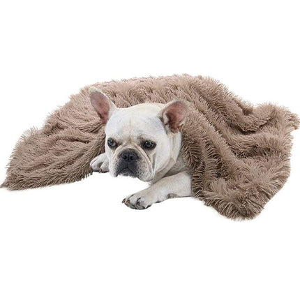Dogs Plush Sleeping Blanket - wnkrs