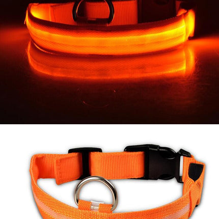 Dogs Nylon LED Collar - wnkrs