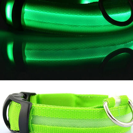 Dogs Nylon LED Collar - wnkrs