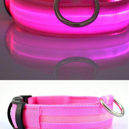 Dogs Nylon LED Collar - wnkrs