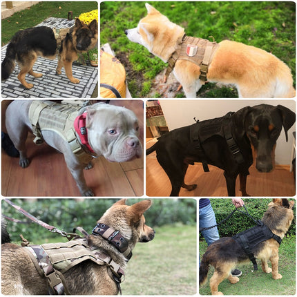 Dog Harness and Leash Set With Nylon Handle - wnkrs