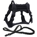 black-harness-and-leash
