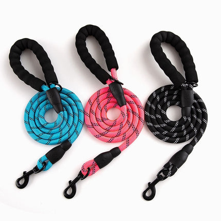 Colorful Thick Nylon Dog Leash - wnkrs