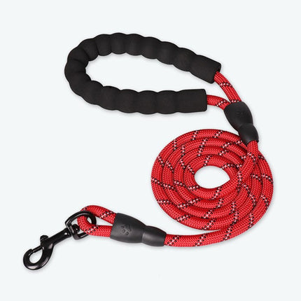 Colorful Thick Nylon Dog Leash - wnkrs
