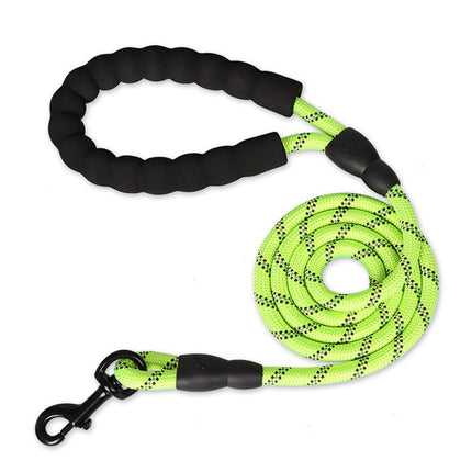 Colorful Thick Nylon Dog Leash - wnkrs