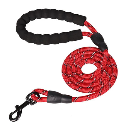 Colorful Thick Nylon Dog Leash - wnkrs
