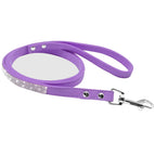 purple-leash