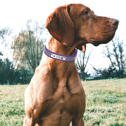 Personalized Reflective Dog Collar - wnkrs