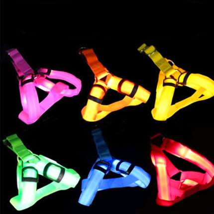 Pretty Bright Luminous Dog's Harness - wnkrs