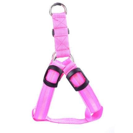 Pretty Bright Luminous Dog's Harness - wnkrs