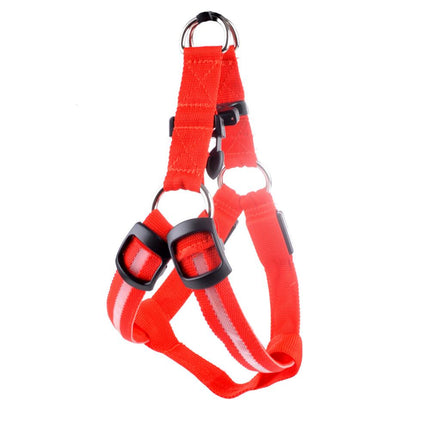 Pretty Bright Luminous Dog's Harness - wnkrs