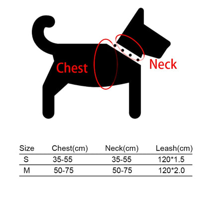 Dog's Boho Print Harness with Leash - wnkrs