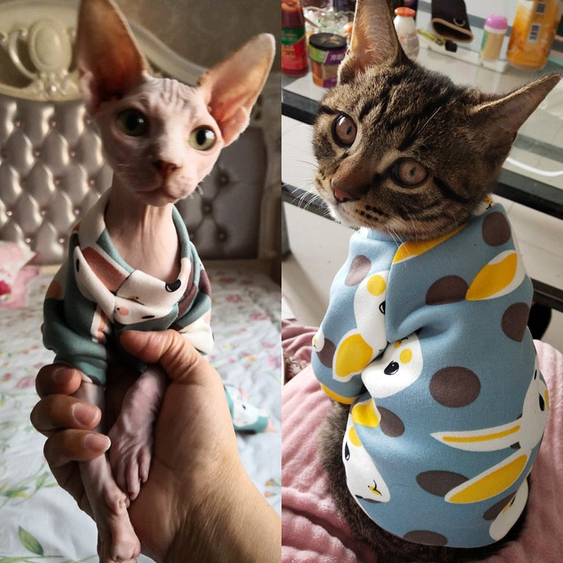 Cat's Colorful Print Sweatshirt