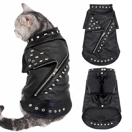 Black Leather Jacket for Cats - wnkrs