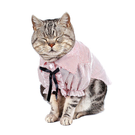 Stripped Cat's Clothes in Blue and Pink - wnkrs
