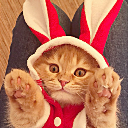 Cat's Christmas Santa Claus Clothing - wnkrs