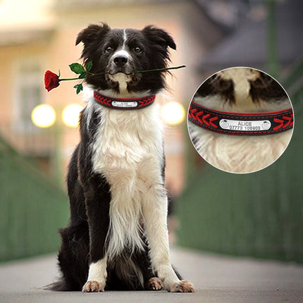 Personalized Engraved Collars For Dogs - wnkrs