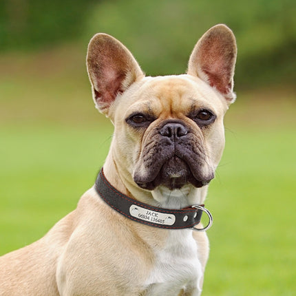 Vintage Style Leather Customizable Dog Collar - wnkrs