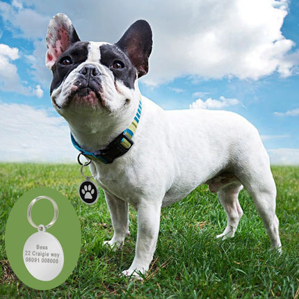 Dog's Silver Paw Patterned ID Tag - wnkrs