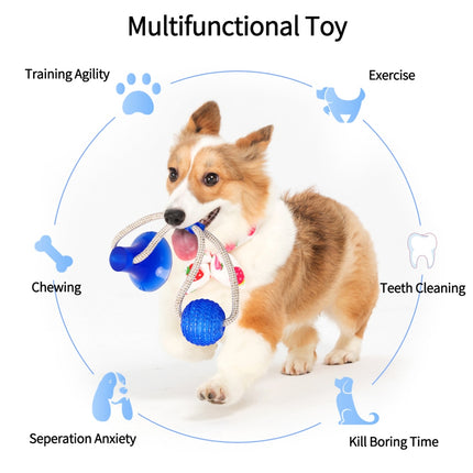 Multifunctional Cleaning Teeth Toy - wnkrs