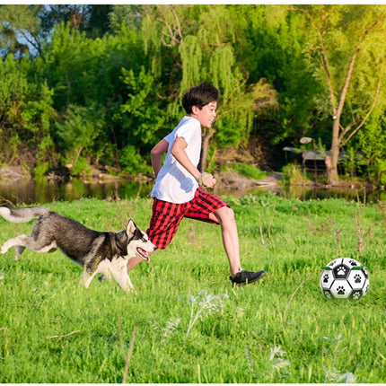 Interactive Dog Football Toy - wnkrs