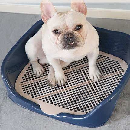 Portable Training Litter Box - wnkrs