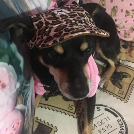 Casual Canvas Cap for Dogs - wnkrs