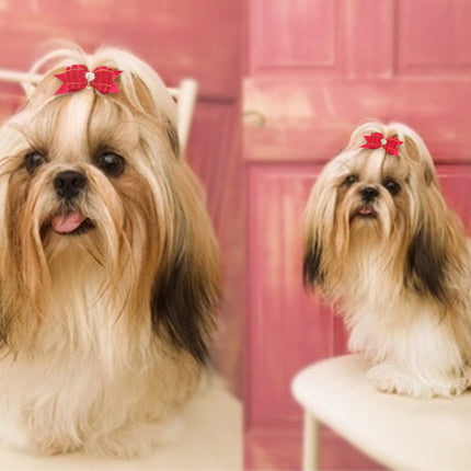Dogs' Hair Bows with Rubber Bands - wnkrs