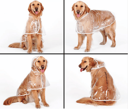 Transparent Autumn Dog Raincoat - wnkrs