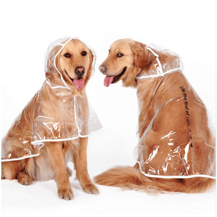 Transparent Autumn Dog Raincoat - wnkrs
